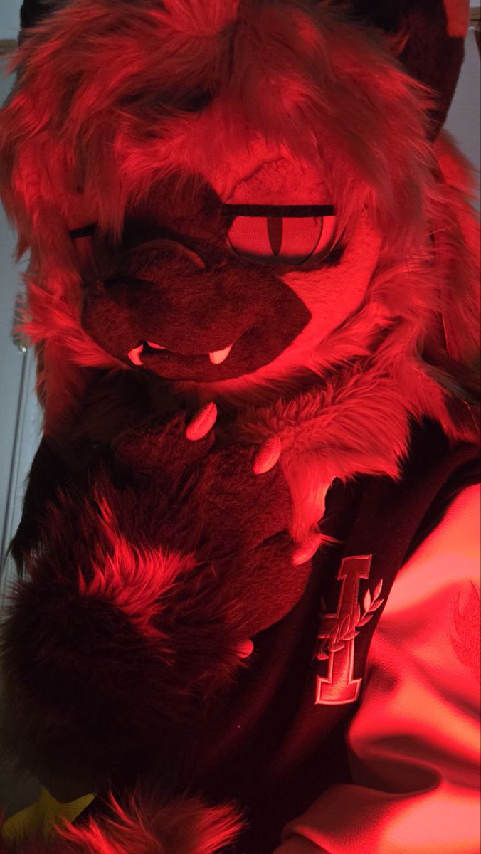 스쿠디 tweet media