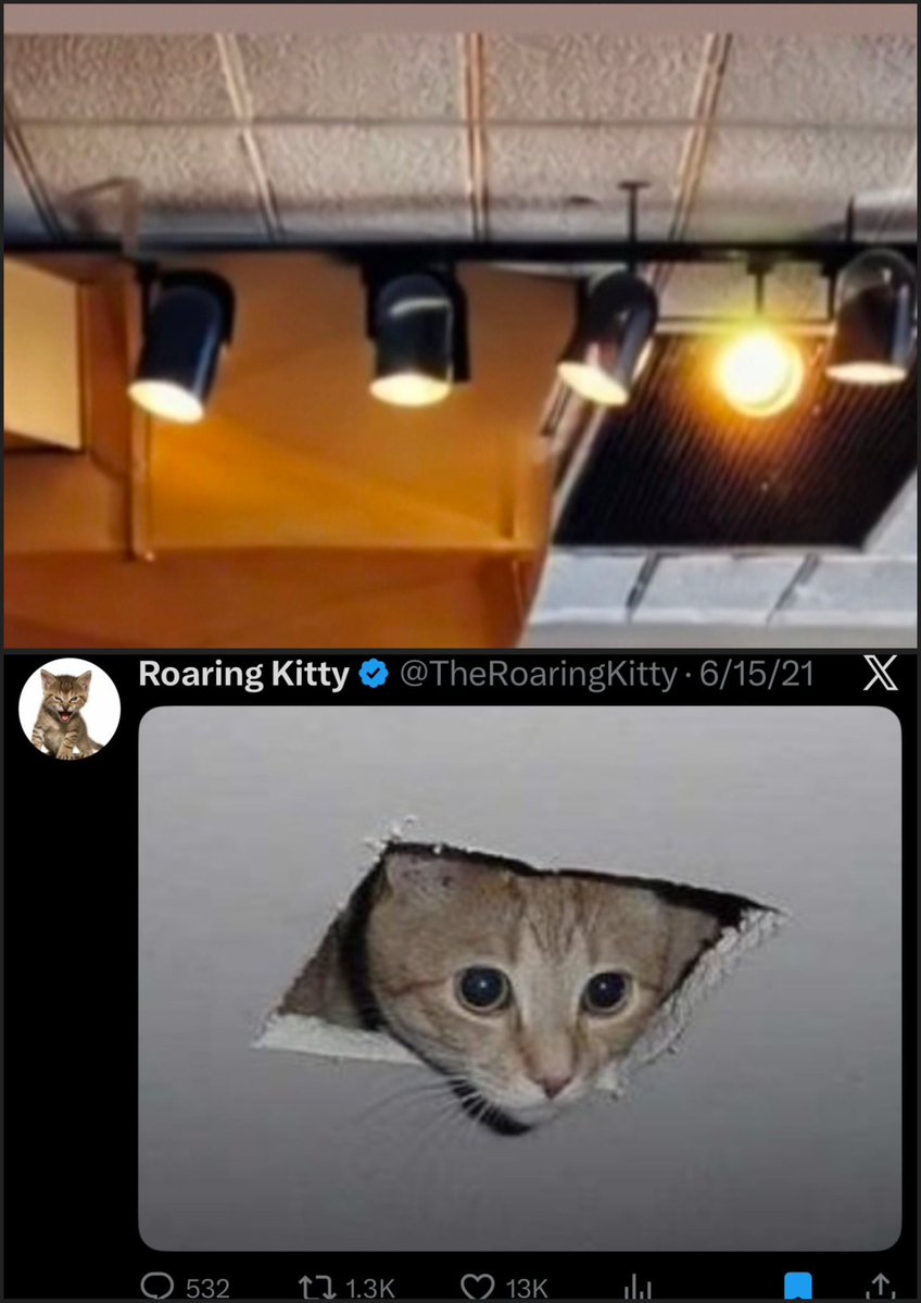 🚨 COUNTDOWN UPDATE: KEVINLEGEND14 CONFIRMED "4" TOO!!!! 🚨

$GME &amp; $BP TIN

After looking more closely at <a href="/silver_ceo/">Silver</a>'s post today and realizing the Barking Dexter meme he posted was a direct signal to "Dexter" Season 4, I decided to have another look at Kevin's hair makeover