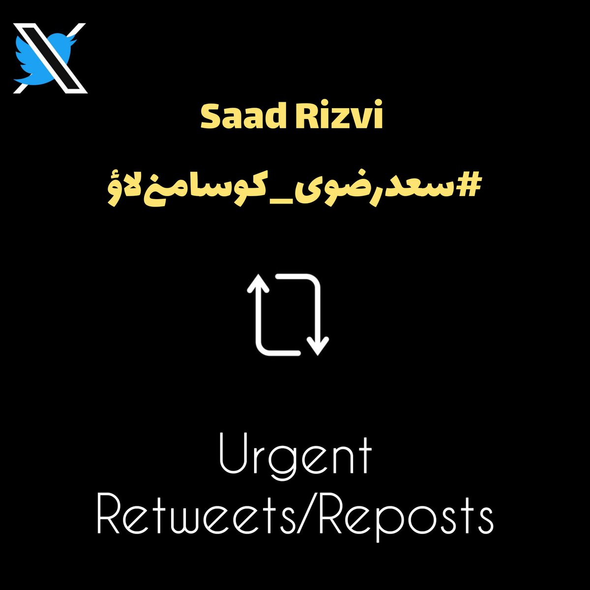 ہر آنکھ یہی پوچھ رہی ہے۔
آخر سعد رضوی کہاں ہیں؟
قوم جواب چاہتی ہے۔
اب حقیقت سامنے آنی چاہیے۔
#سعدرضوی_کوسامنےلاؤ