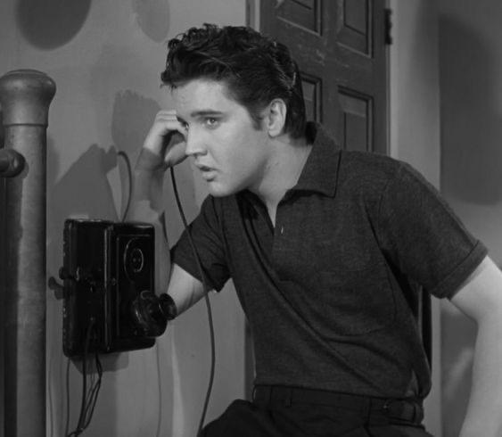 Elizabeth Macpherson tweet media