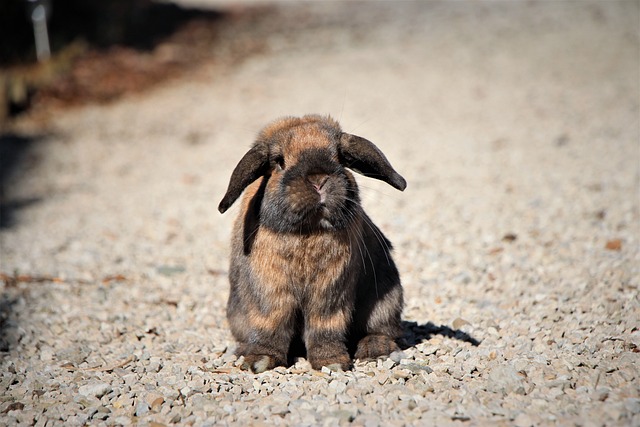 Angela Shaw tweet media