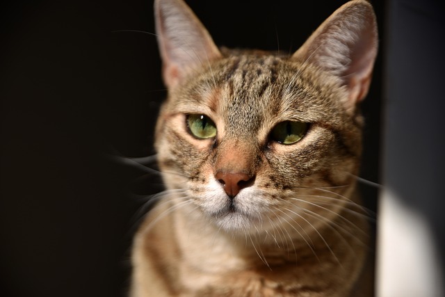 Philip Lee tweet media