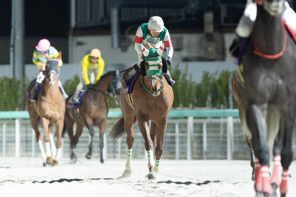 3/11（水）船橋競馬第11Rで行われた第71回 #ダイオライト記念 （JpnII）は、兵庫のオディロン号が優勝🏆
川崎所属の #セラフィックコール 号（吉原寛人騎手、内田勝義厩舎）は早めに進出して直線先頭に立ちましたが、最後は勝ち馬に半馬身交わされ2着でした🏇
応援ありがとうございました🌟