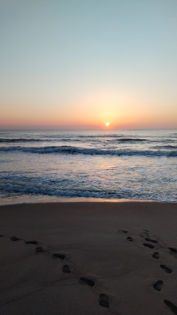 ghirigoro rogighiro  tweet media