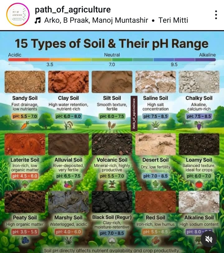 mohsinjaved84's tweet image. Across the world soil comes in many different types.

Where I live, we have a loamy soil but with a larger proportion of river silt and sand.

How about you? What type of soil is in your locality?

Answer with a reply or quote with the #Savesoil hashtag. 🙏🏿☺️