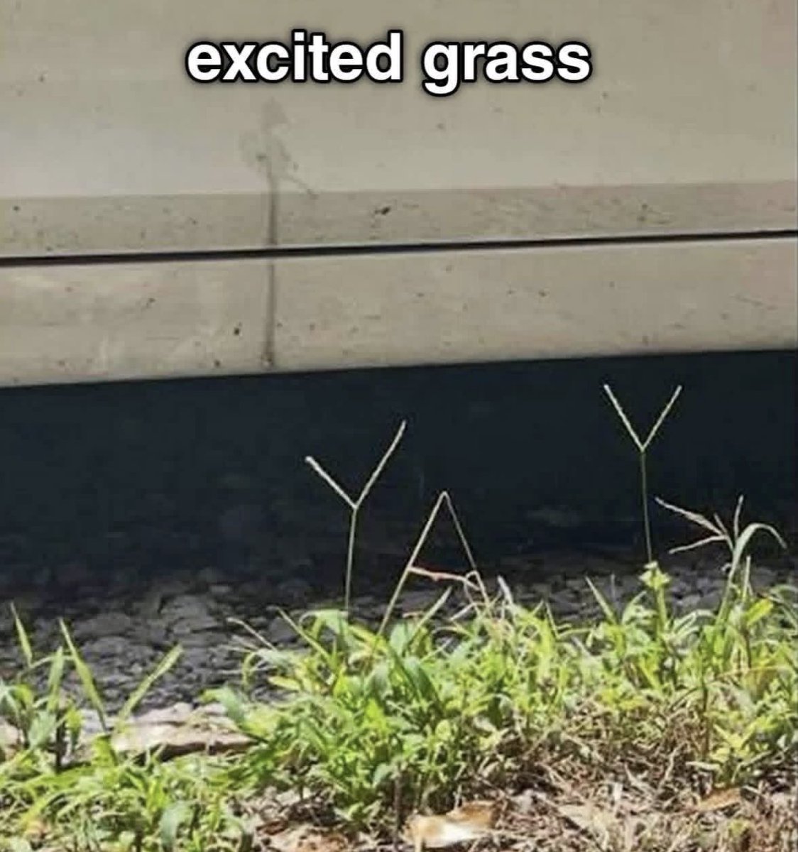 Respectful Memes (@respectfulmemes) on Twitter photo 