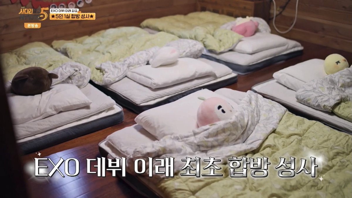 THE DOLLS ARE SO CUTE 🥹🥹