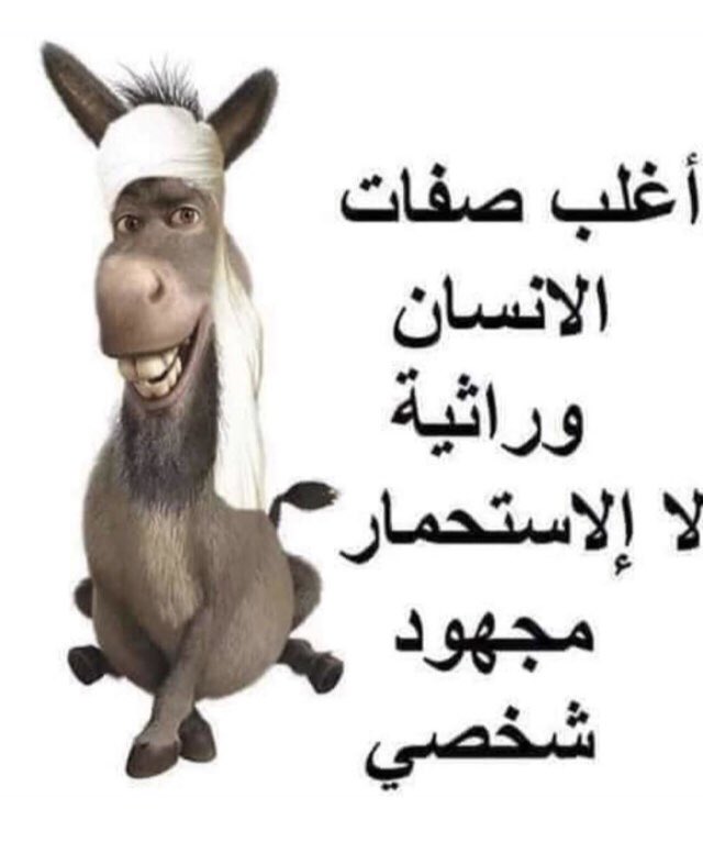 mohammedfuhid's tweet photo. @atc8877 هذا مجهودك الشخصي https://t.co/8r8CaqD4Po