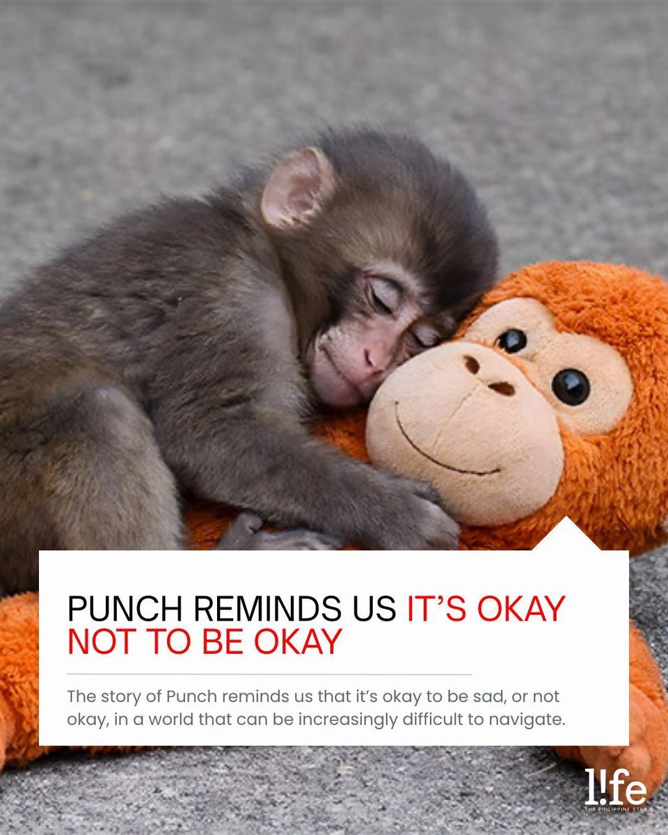 PhilSTAR L!fe tweet media