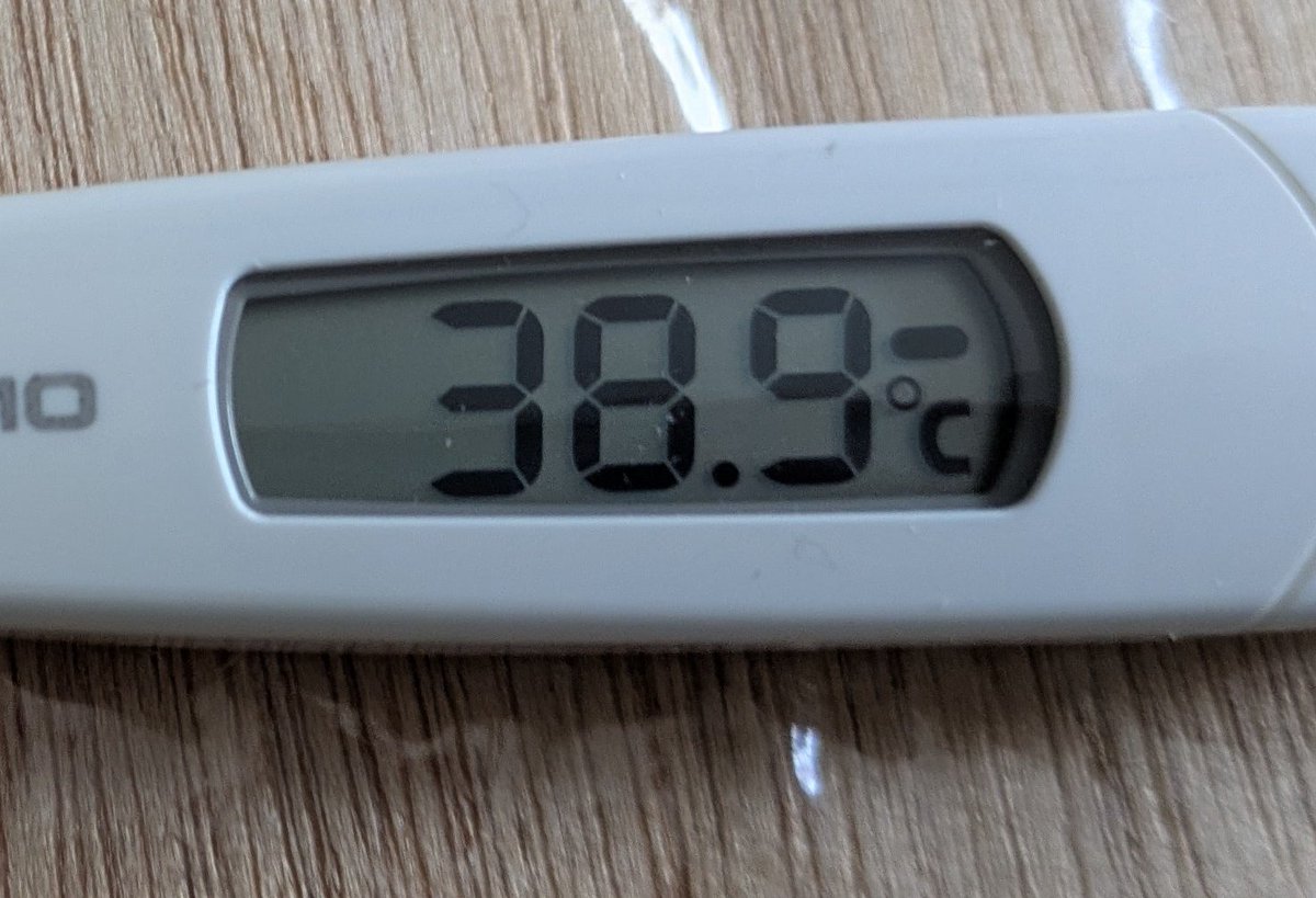 ぴょん tweet media