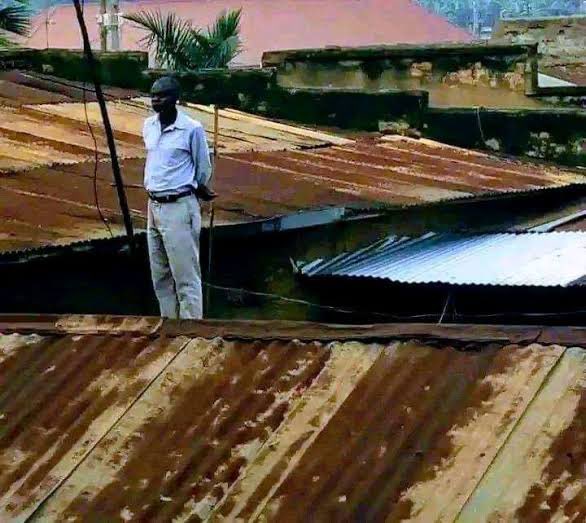 Steve Wembi tweet media