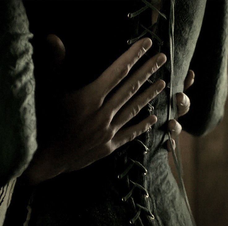 𓃦 ᵎᵎ tweet media