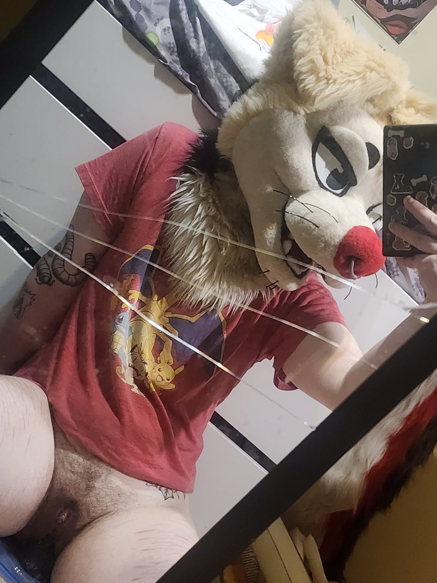 CocktusCorgi's tweet photo. Doggy bottomed out on his knotted toy and came instantly :3 https://t.co/pMzH3GcOXM