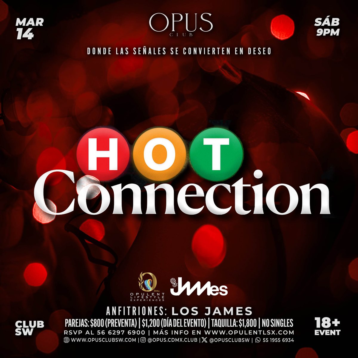 OPUS Club 🍍 tweet media