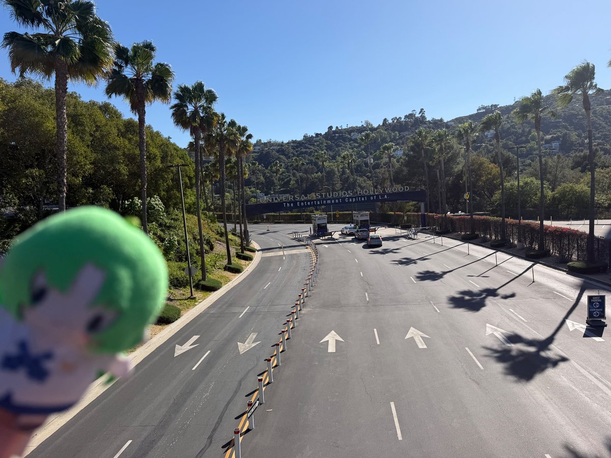 somewhat daily shion plush / 毎日詩ぃぬいぐるみ (@dailyshiiplush) on Twitter photo 