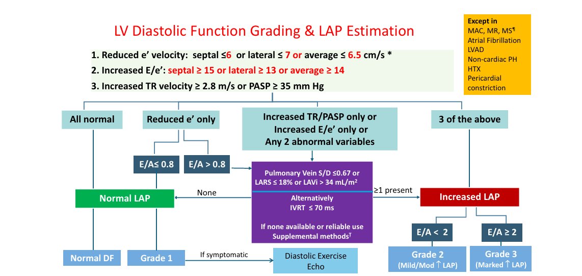 Nadeen N. Faza, M.D. tweet media