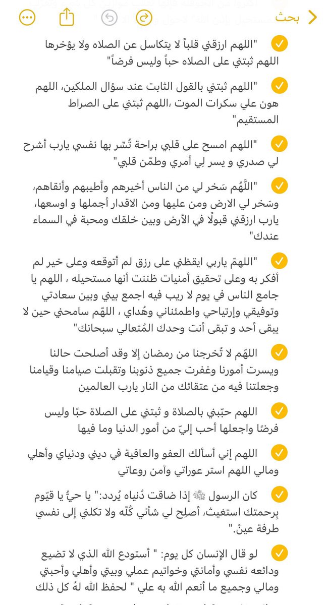 🦌Nora tweet media