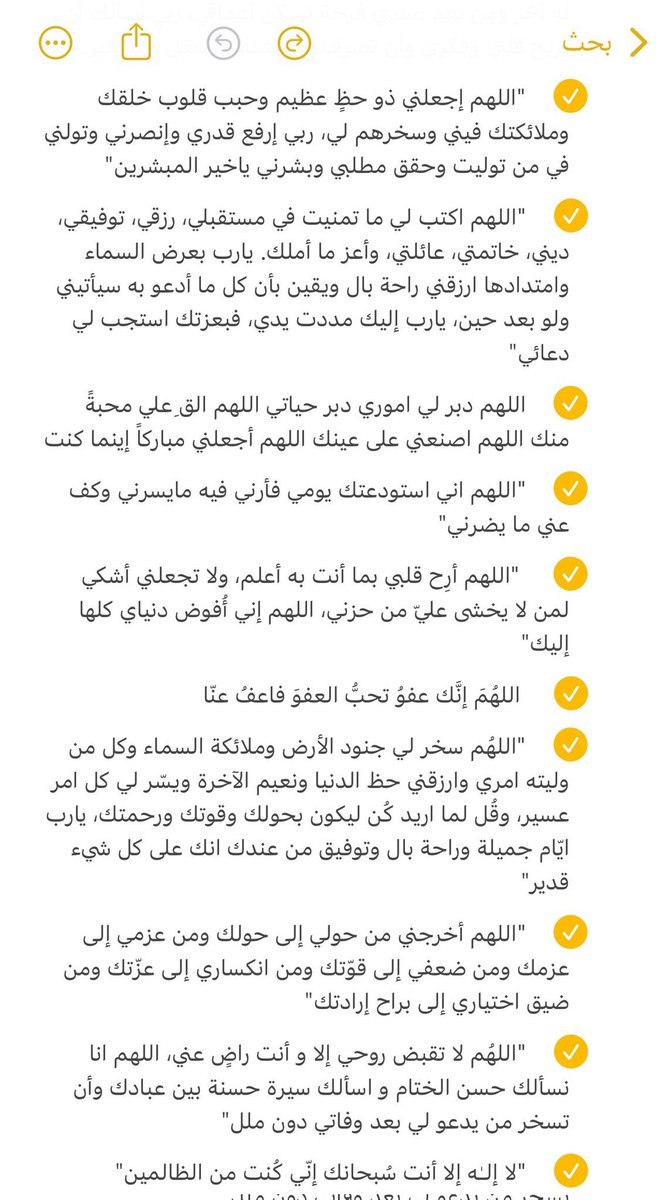 🦌Nora tweet media