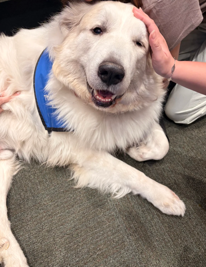 Caroline Poarch tweet media