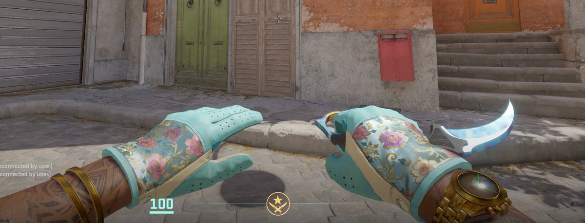 ForgiveMyZyns's tweet photo. the new greatest skin combo in cs history https://t.co/s0klP83Brl