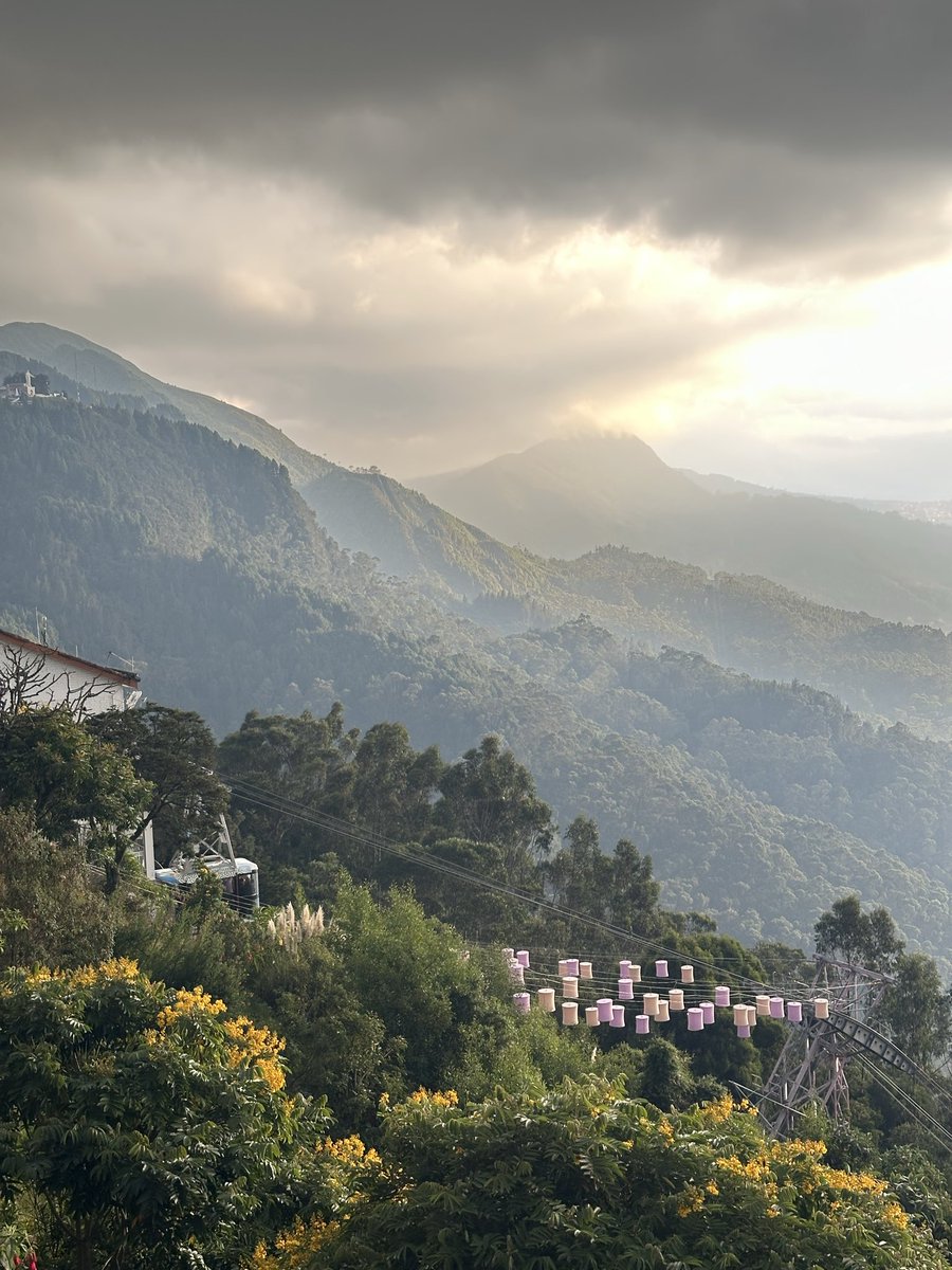 danblackang's tweet photo. visuales de bogotá https://t.co/qAwmpWlVi5