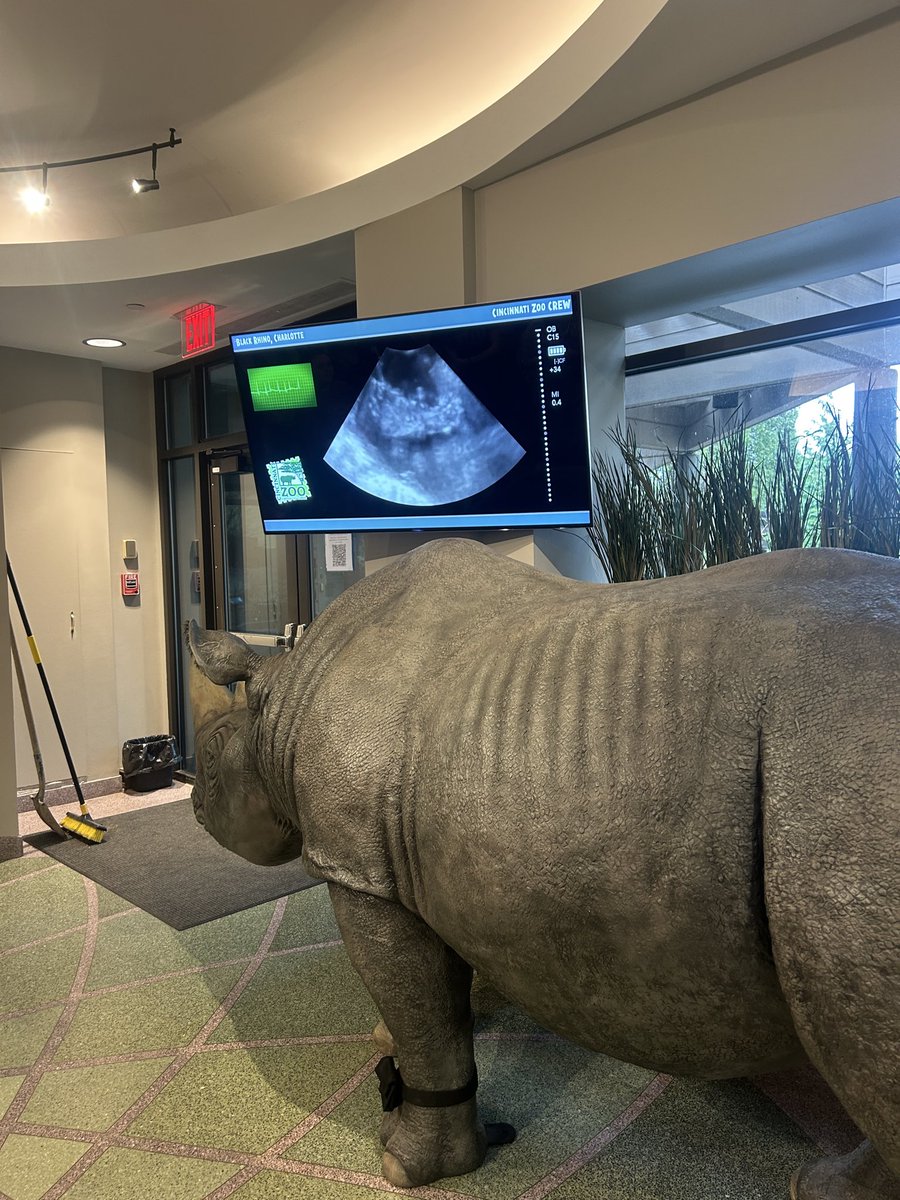 Mrs Tekulve tweet media