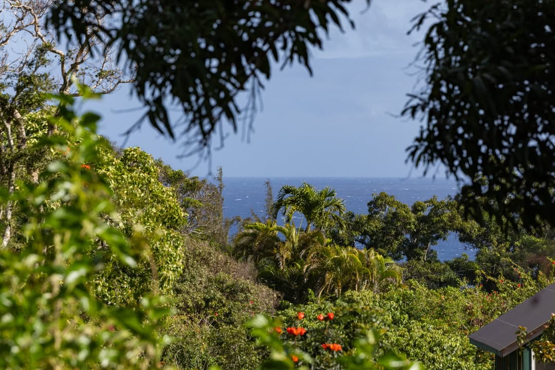 Just listed by Beth Thoma Robinson, R(B) is 52-284 Keokea Park Rd, in Kapaau, Big Island, for $925,000.

hawaiilife.com/listings/52-28…

This magical cabin-style retreat along the road to Keokea Park in North Kohala offers a rare opportunity in a beloved old Hawaiʻi neighborhood.