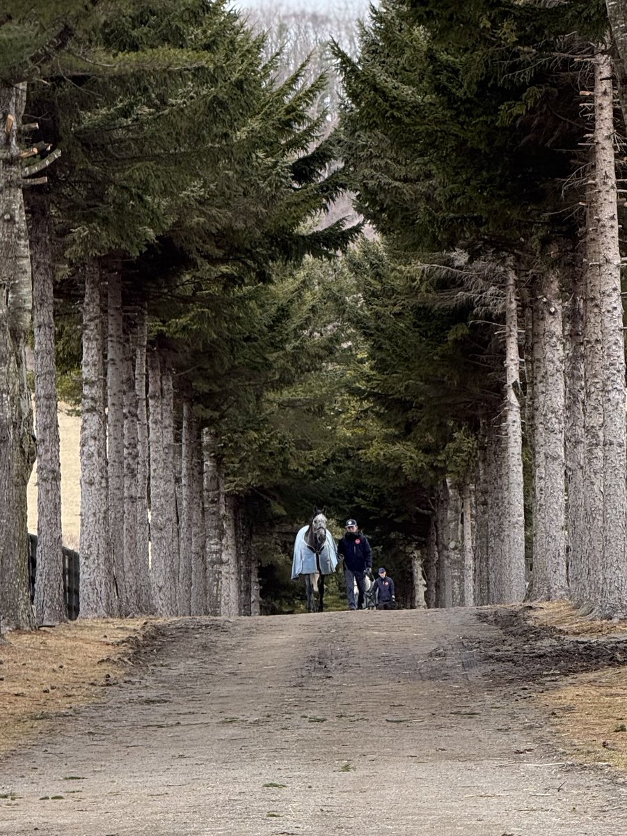 アローの中の人(非公式) tweet media