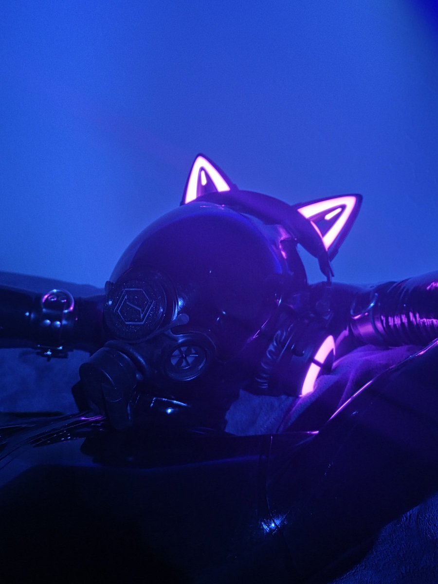 pupptight's tweet photo. Chillin on a Wednesday (^з^)-☆

It would be better with you sitting here :3

#latex #dronification #femboy #drone #catboy https://t.co/BbEy94p7sp