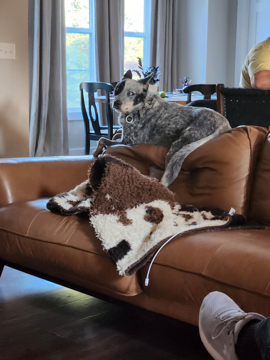 Brian Rabenberg tweet media