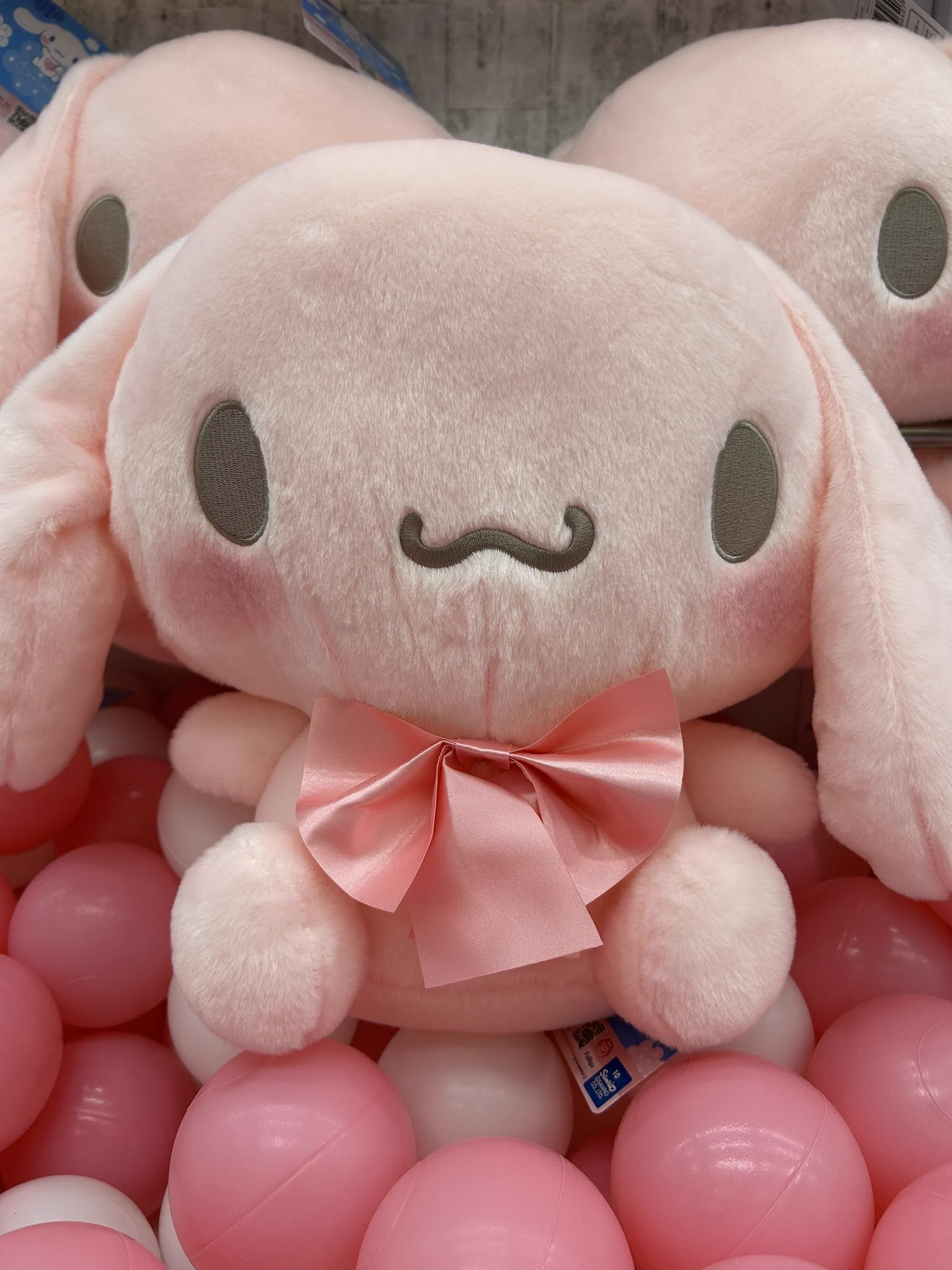 シナモン iクレーンbyおたちゅう 酒田店 na platformi X: „🩷ྀི新景品入荷情報