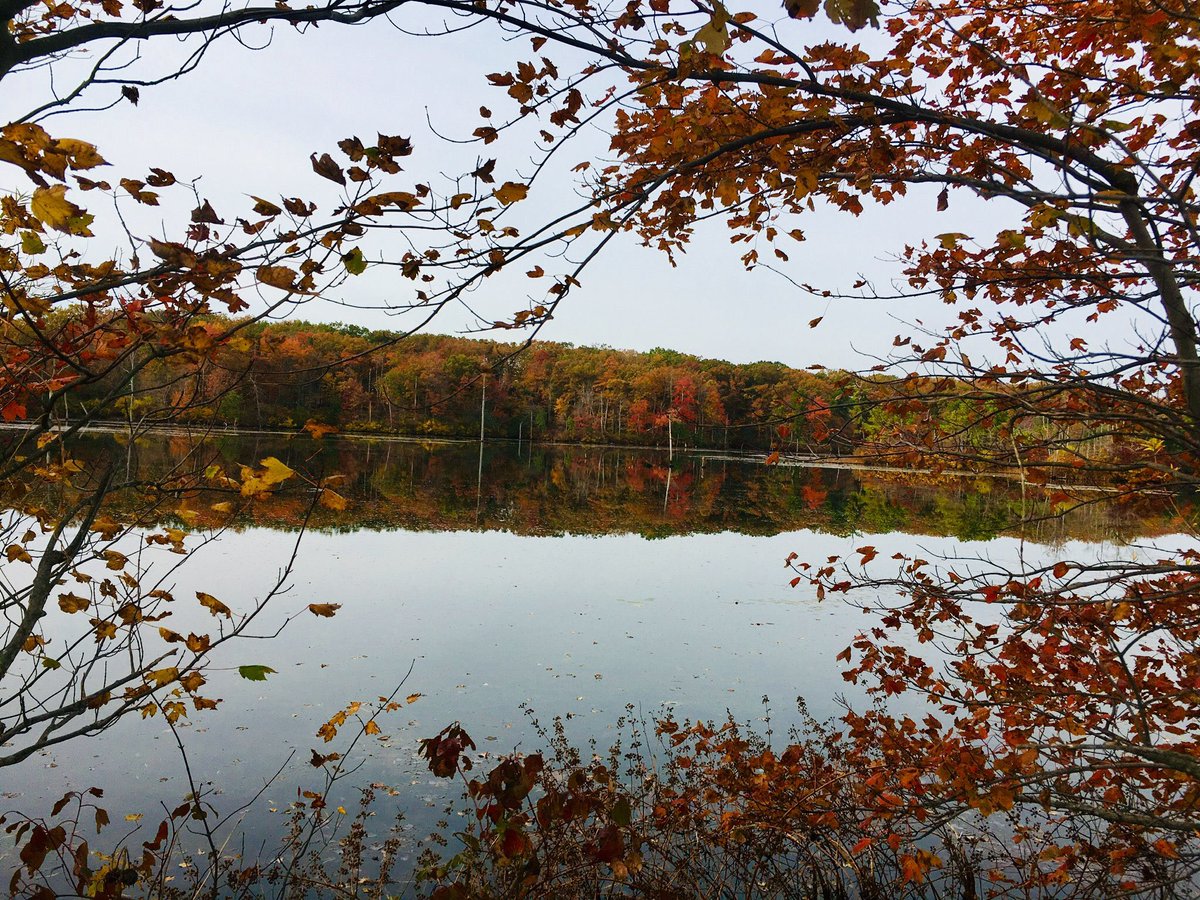 njcanne's tweet photo. @TimelessTrvlr Local trail 5 mile loop looks beautiful every season. https://t.co/PX0TSjfjmH