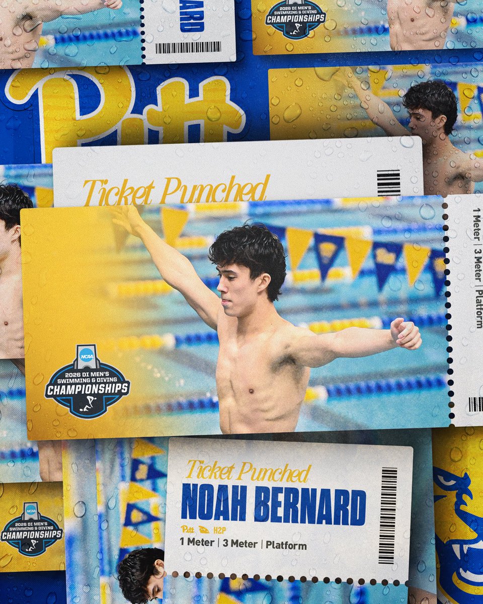 Pitt Swim & Dive tweet media