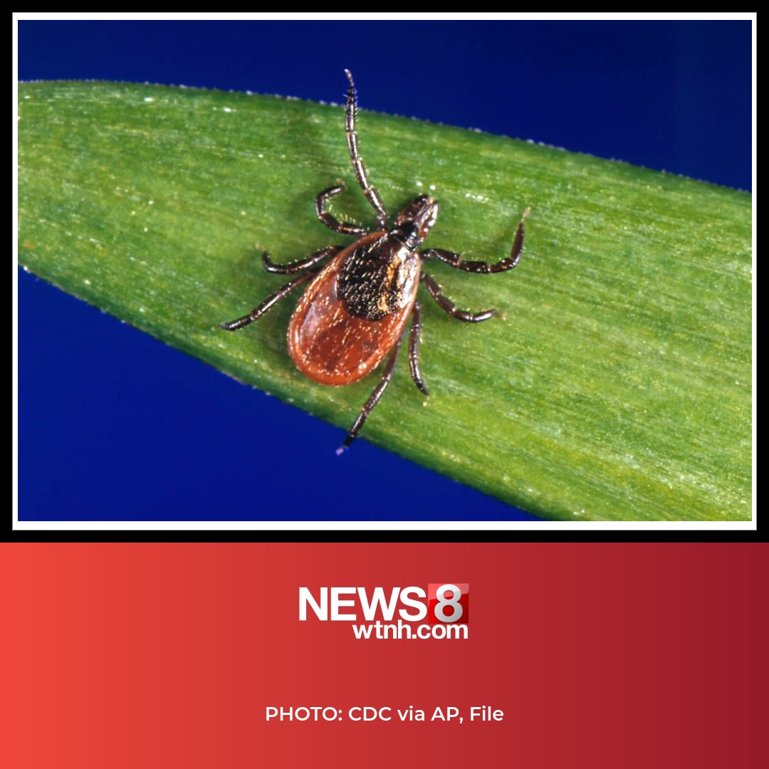 WTNH News 8 tweet media