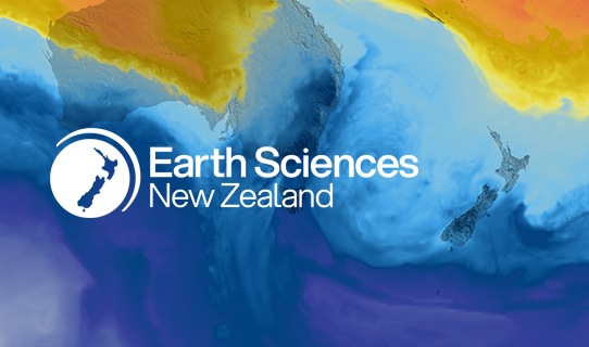 Potatoes New Zealand tweet media