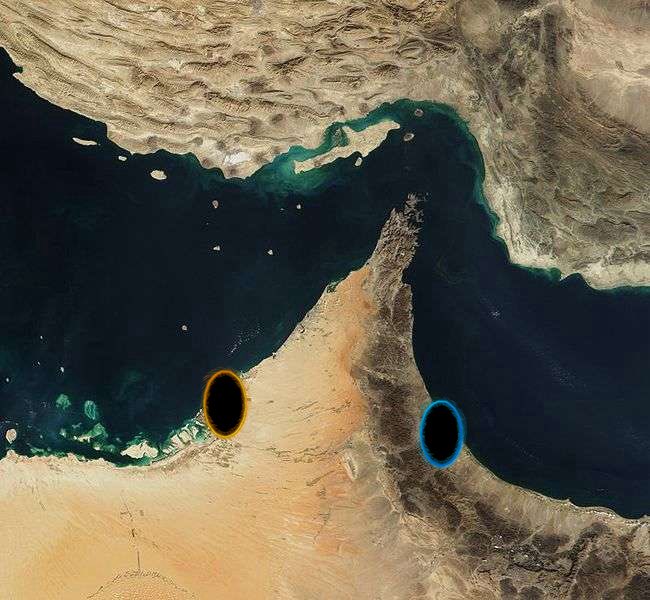 evan loves worf tweet media