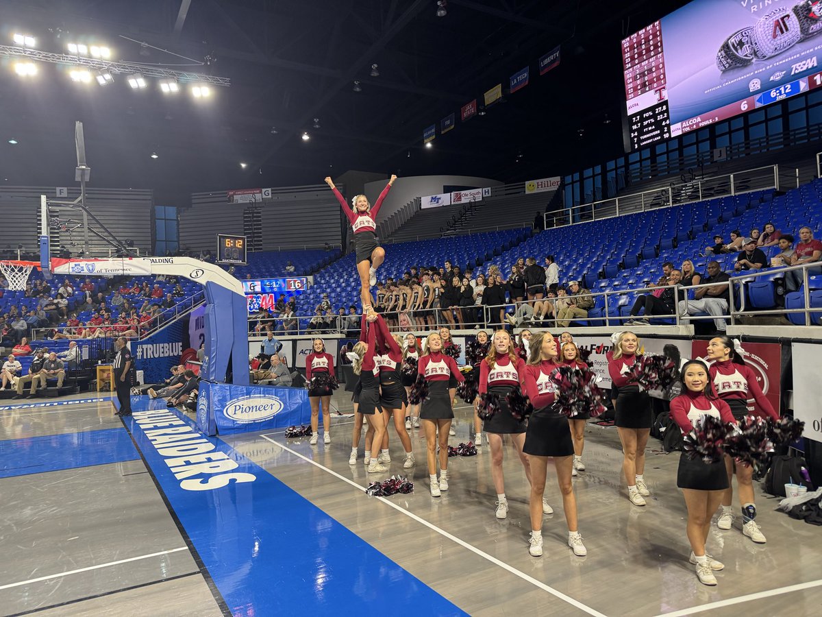 Renee Flowers, Ph.D. tweet media