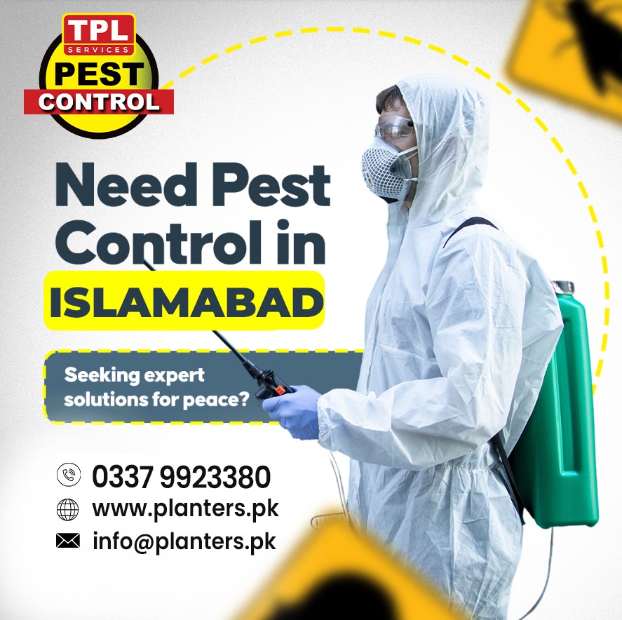 Protect your home and workplace with professional pest control solutions in Islamabad. Our trained experts use safe and effective treatments to eliminate pests and ensure a clean, healthy environment.

#PestControl #IslamabadServices #HomeProtection #PestFree