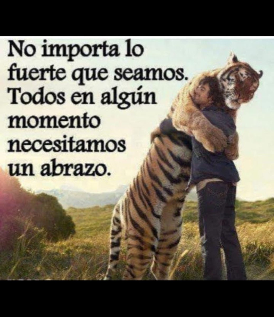 Karla Ferreiro (@mystifa) on Twitter photo 