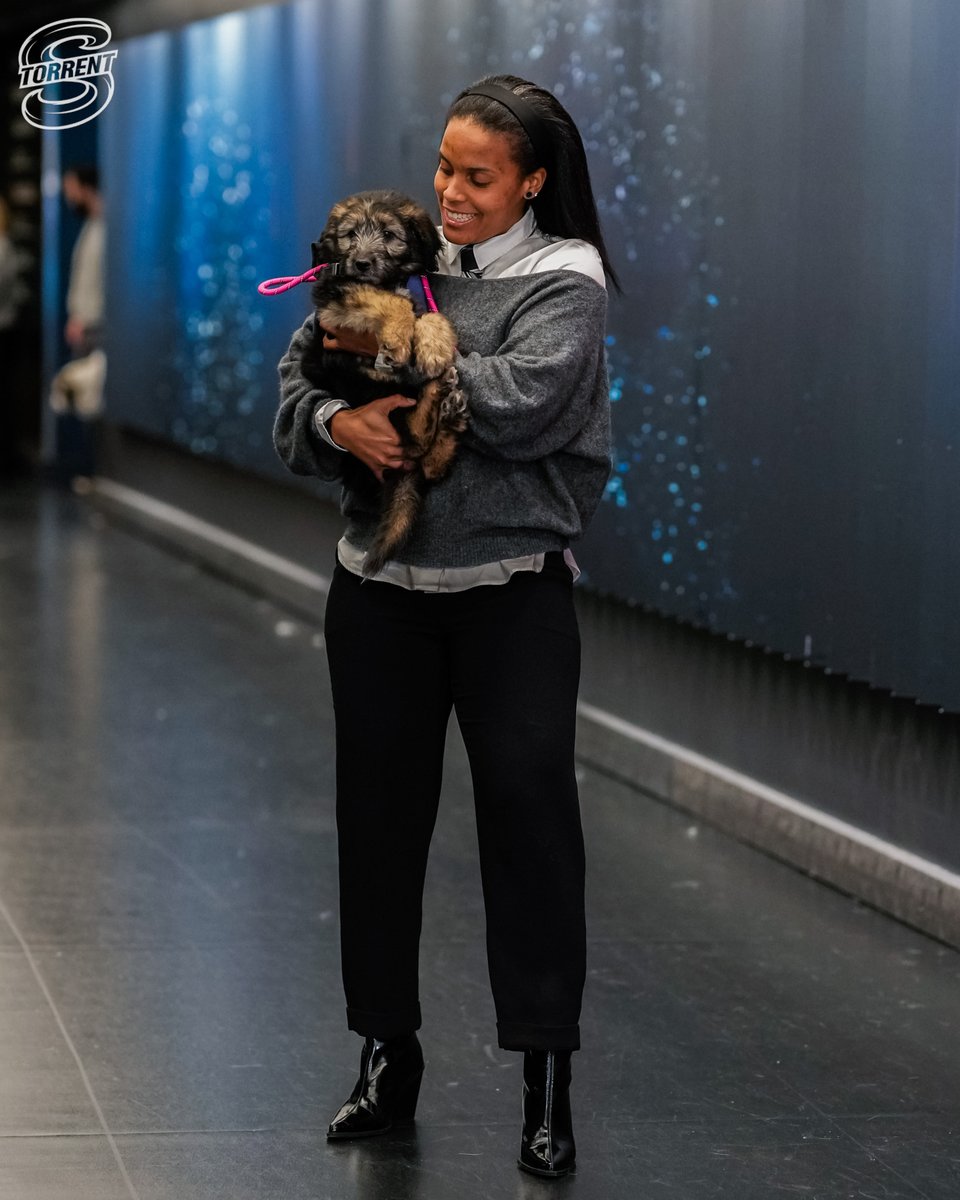 Seattle Torrent tweet media