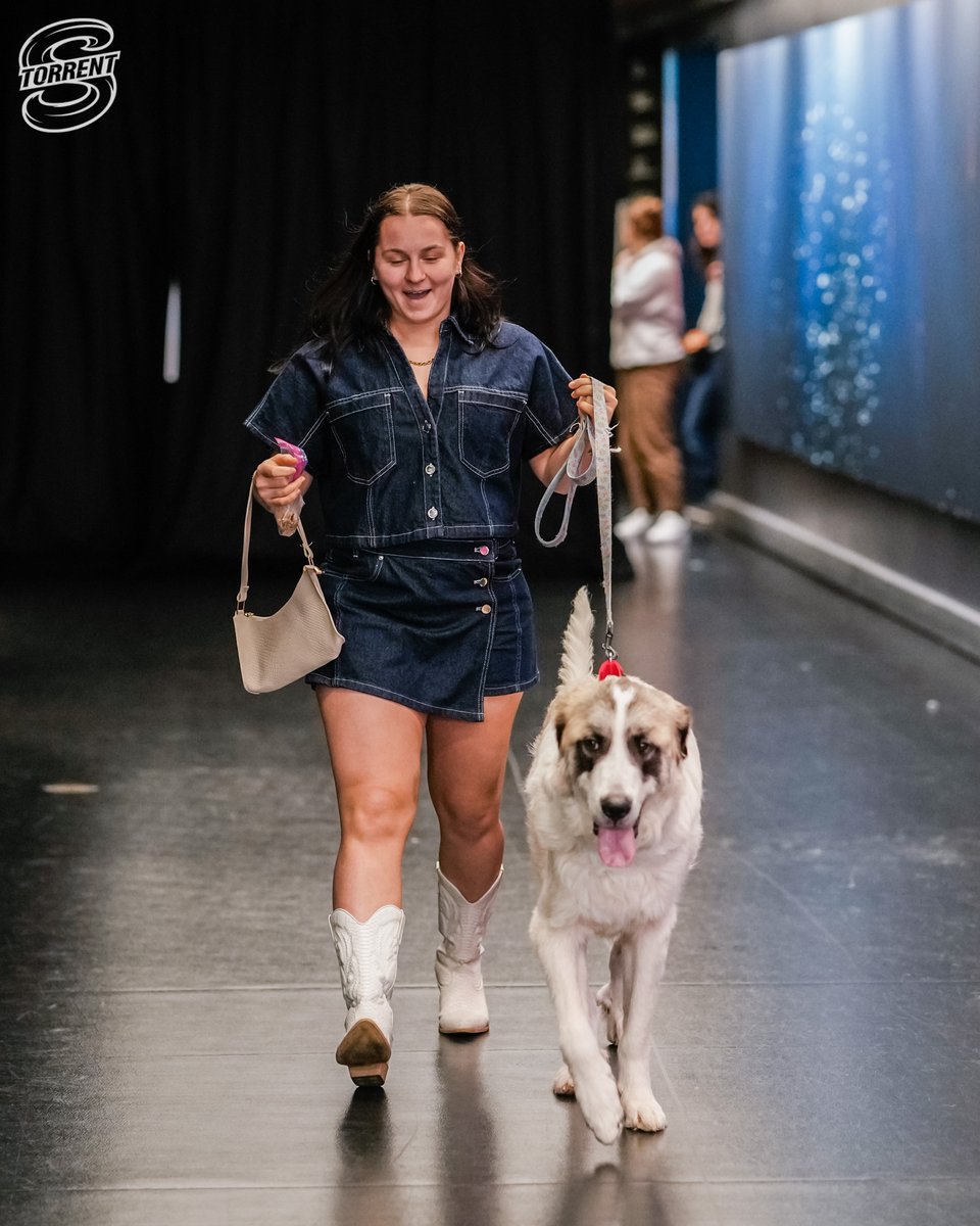 Seattle Torrent tweet media