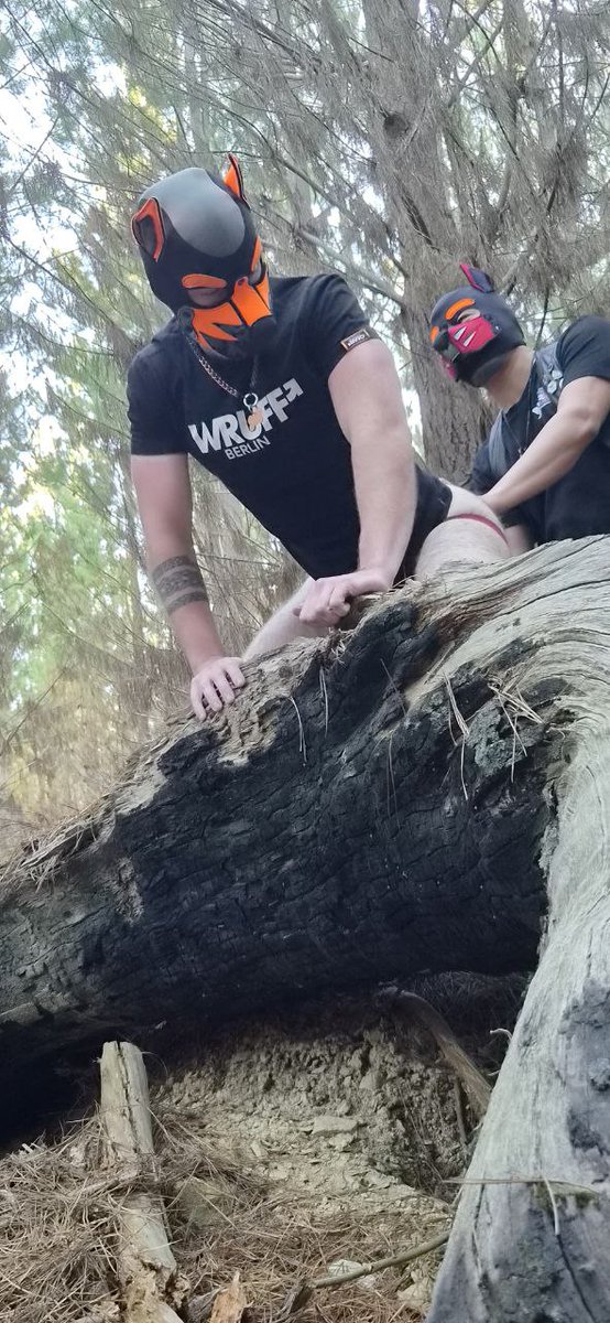 Pup Kaiden tweet media