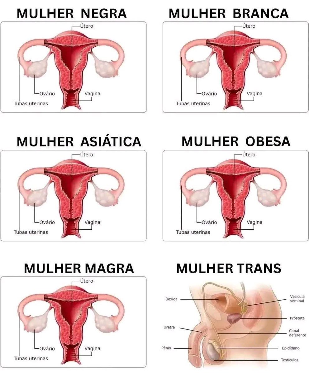 <a href="/DieHardAguia/">Aguia</a> #elenão