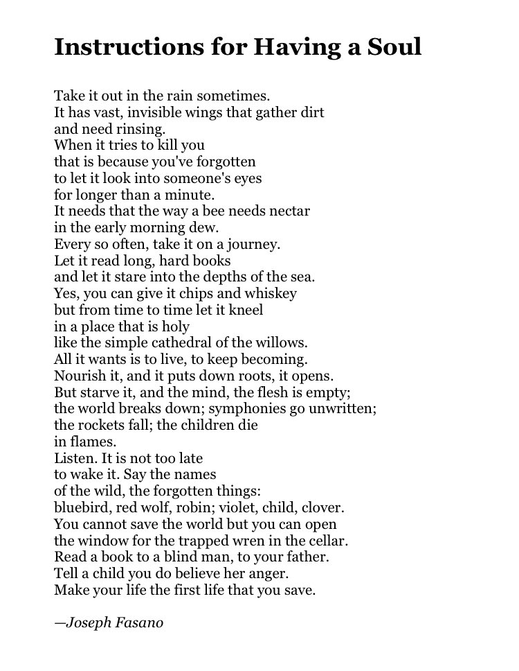 Joseph Fasano tweet media