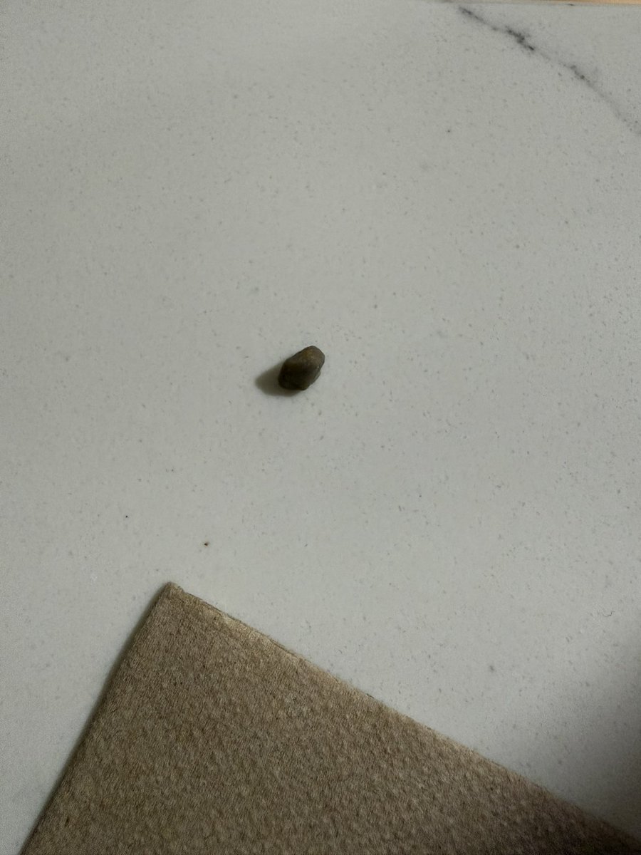 kelseylea0914's tweet photo. @ChipotleTweets I found a small pebble in my food. I don’t want anything for free I’m just letting you know. It hurt my teeth. https://t.co/fQhUdaPWxV