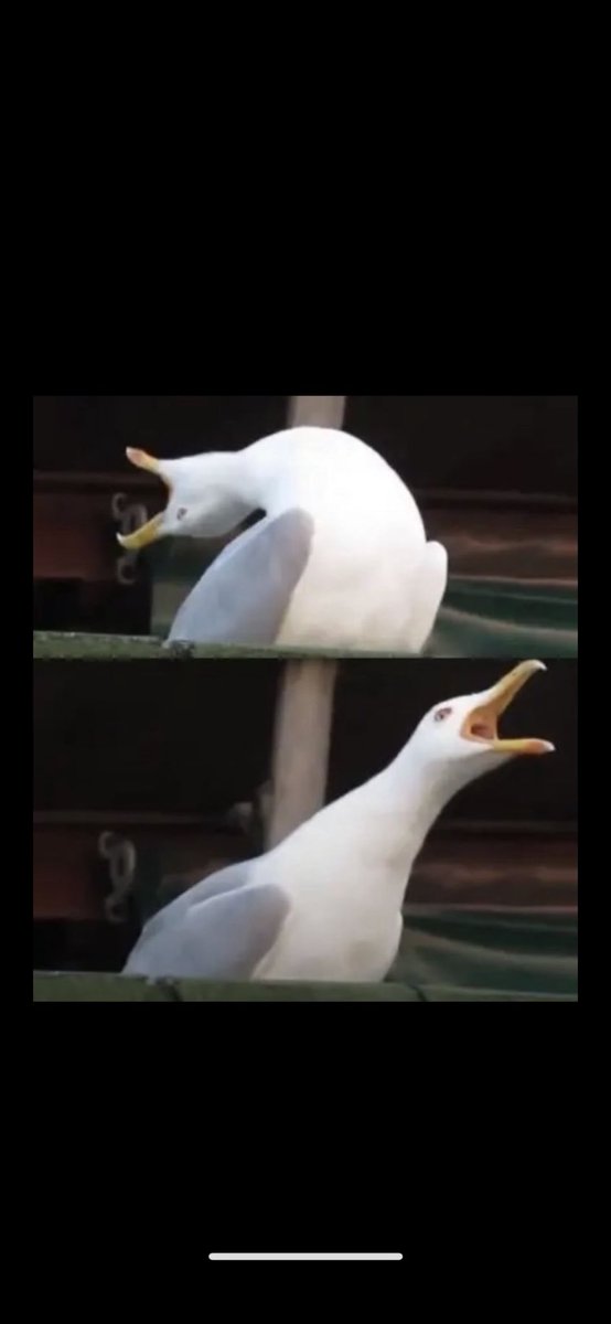 weld_taza's tweet photo. AMINEEEEEEEEEEEEEEEEE https://t.co/vYgkt9OQaQ