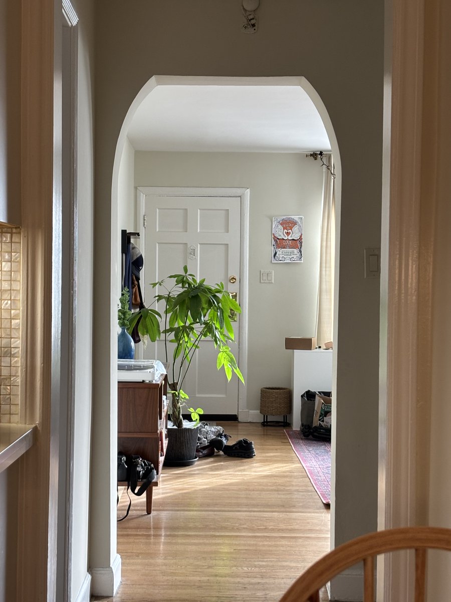 shai 🌻 tweet media