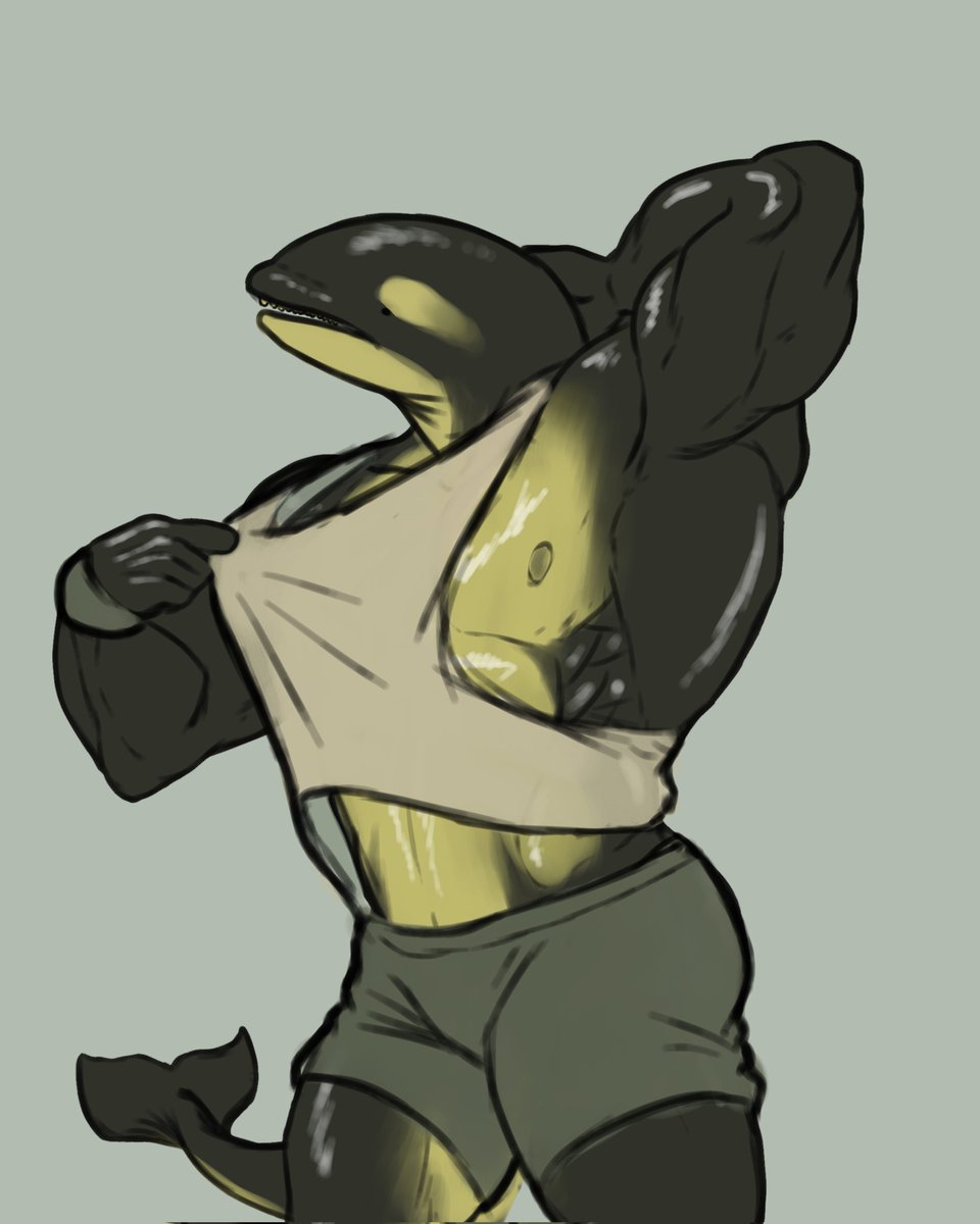 Mandrakepool's tweet photo. Post workout artic orca https://t.co/3opqbKVLCZ