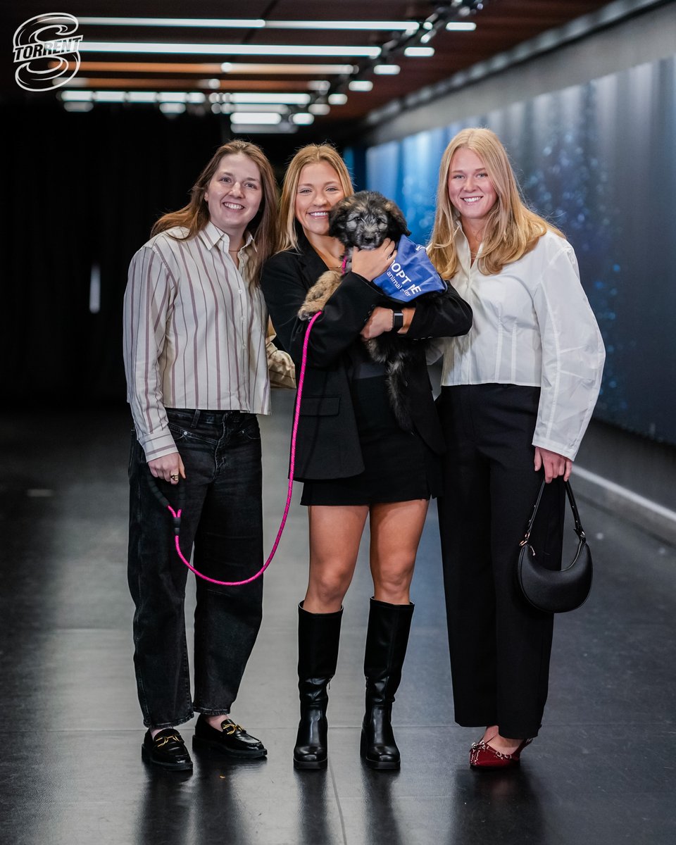 Seattle Torrent tweet media