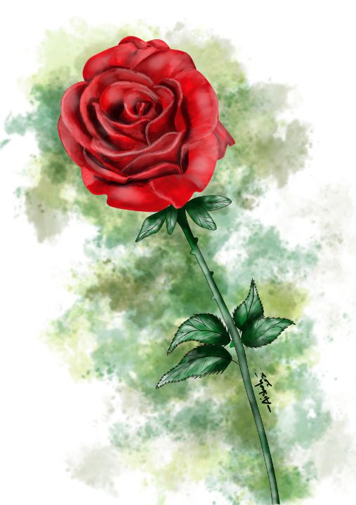 Art of the Day! "Lovely red rose watercolour". Buy at: ArtPal.com/aishahdeart?i=…